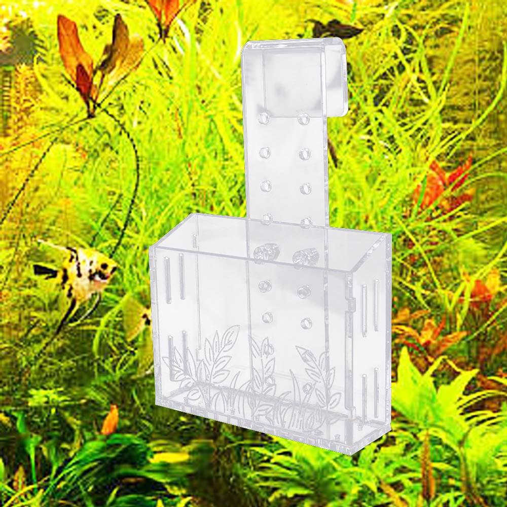 Aquarium Planted Wall - Akrylowy, przezroczysty doniczka do roślin akwariowych