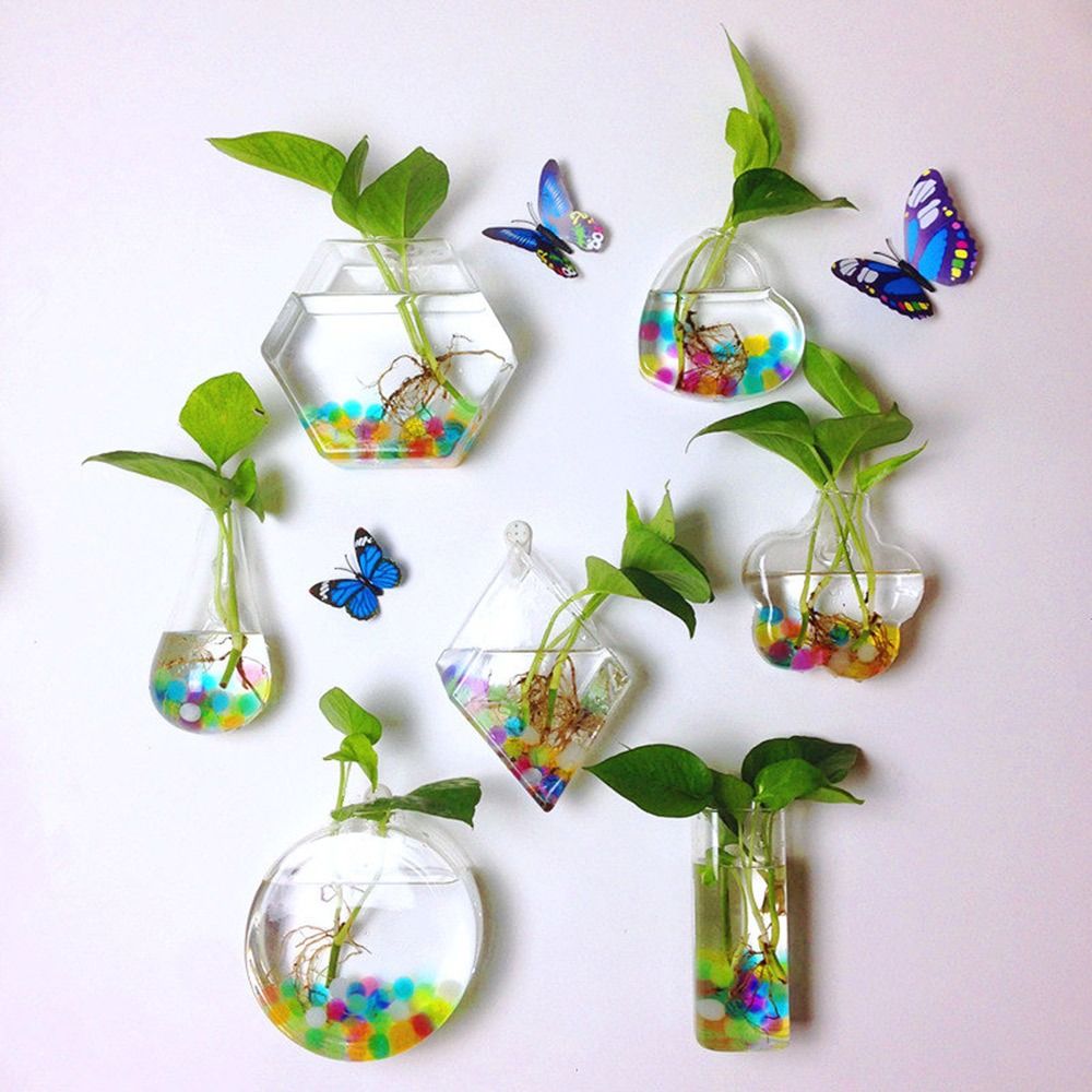 Aquarium Planted Wall - Wazon wiszący w kształcie stożka, przezroczysty