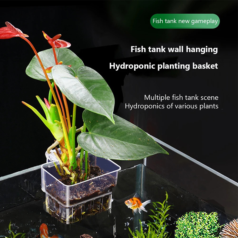 Aquarium Planted Wall - Nowy【Wiszący doniczka do akwarium, uchwyt na