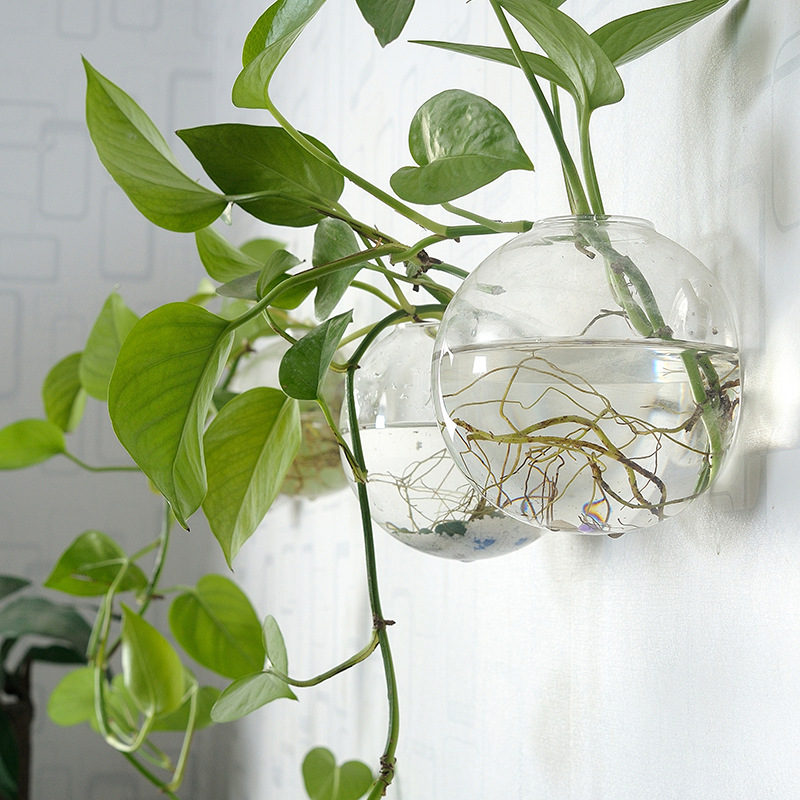 Aquarium Planted Wall - Akrylowa akwarium wiszące na ścianę, wazon