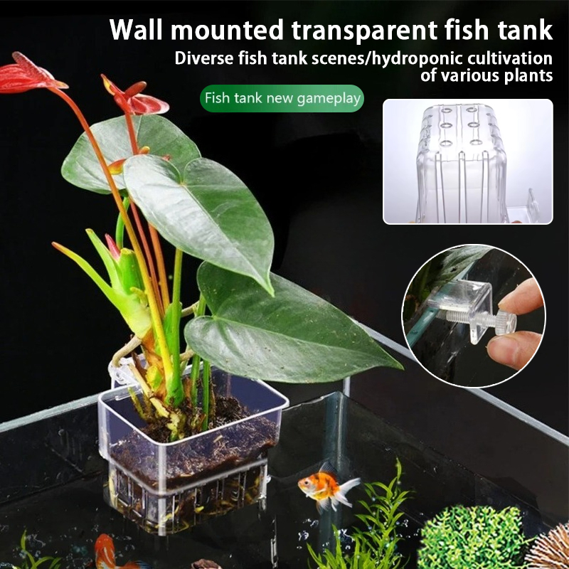 Aquarium Planted Wall - Wiszące doniczki do akwarium, montowane na