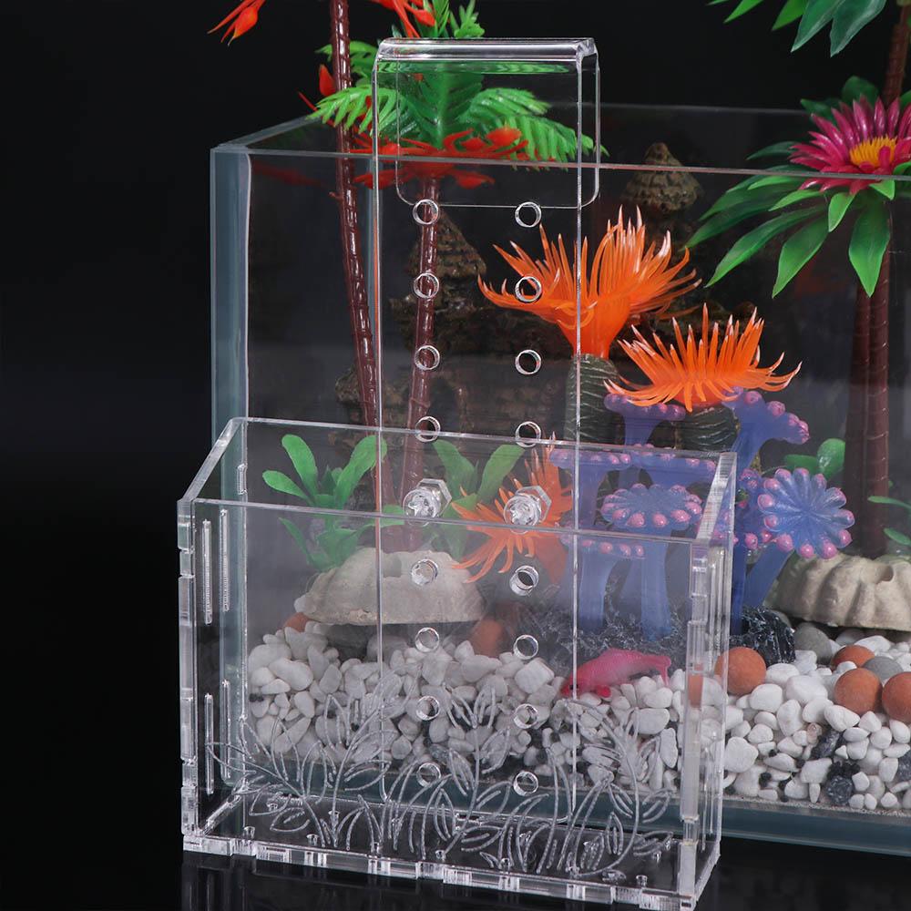 Aquarium Planted Wall - Kubek do roślin akwariowych do zawieszenia