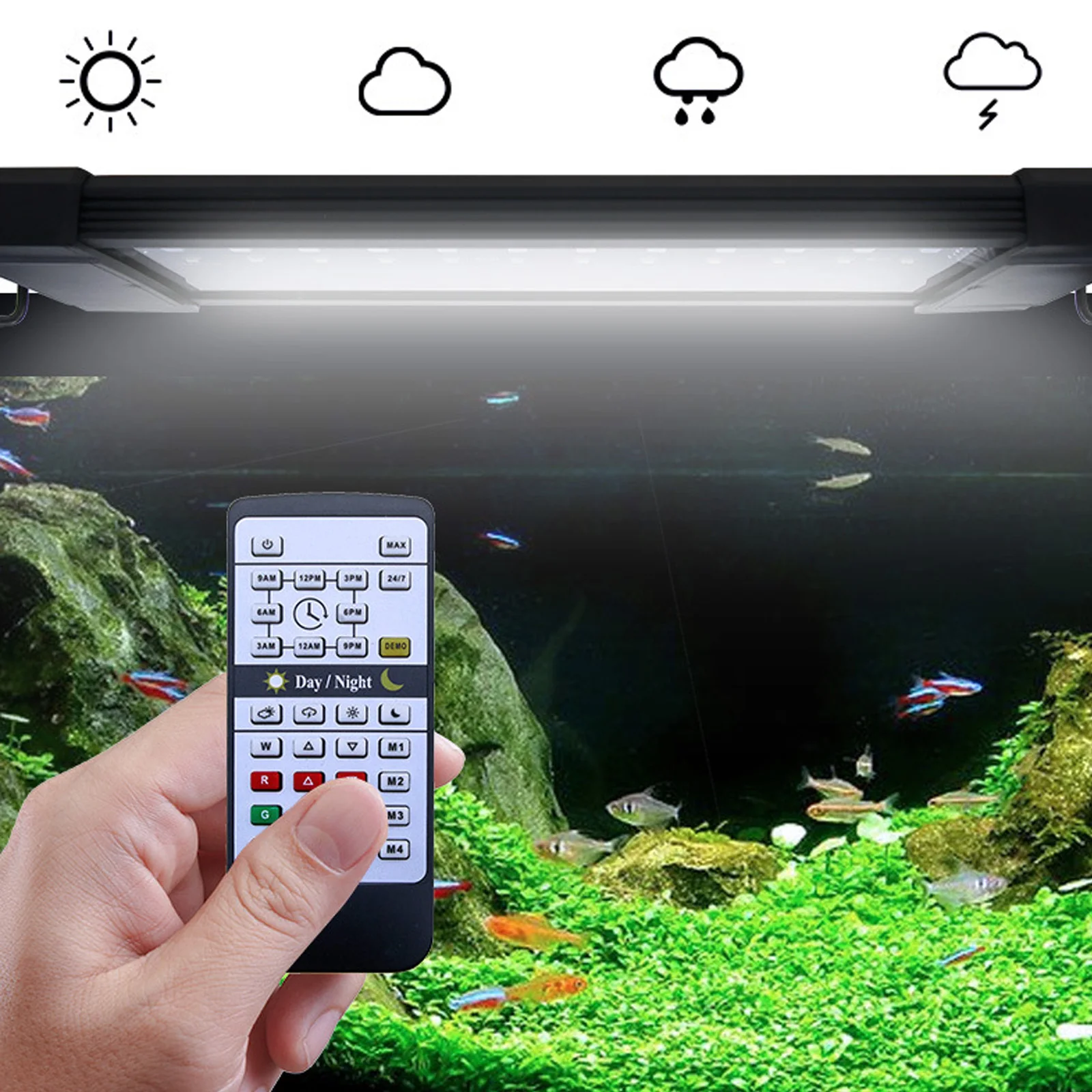Planted Aquarium Hours - Liweida 24-godzinna lampa LED do akwarium