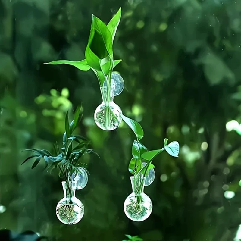 Aquarium Planted Wall - Kreatywny półokrągły wazon ścienny, talerz na