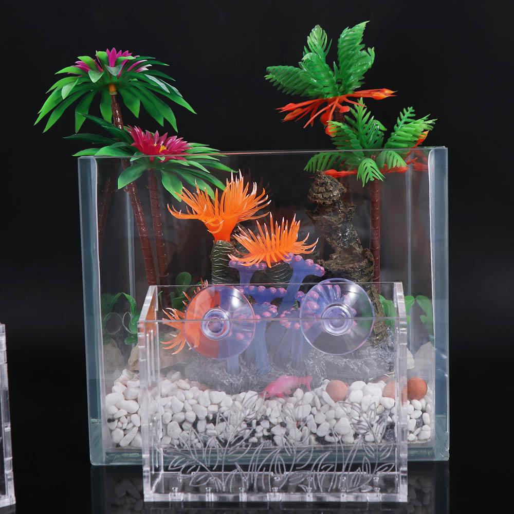 Akrylowy, przezroczysty donicz – Aquarium Planted Wall recenzja i cena