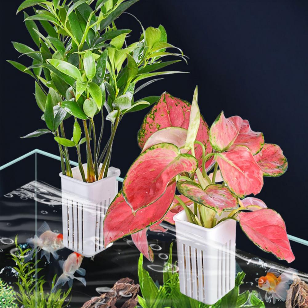 Kwietnik do roślin wodnych, hy – Aquarium Planted Wall recenzja i cena
