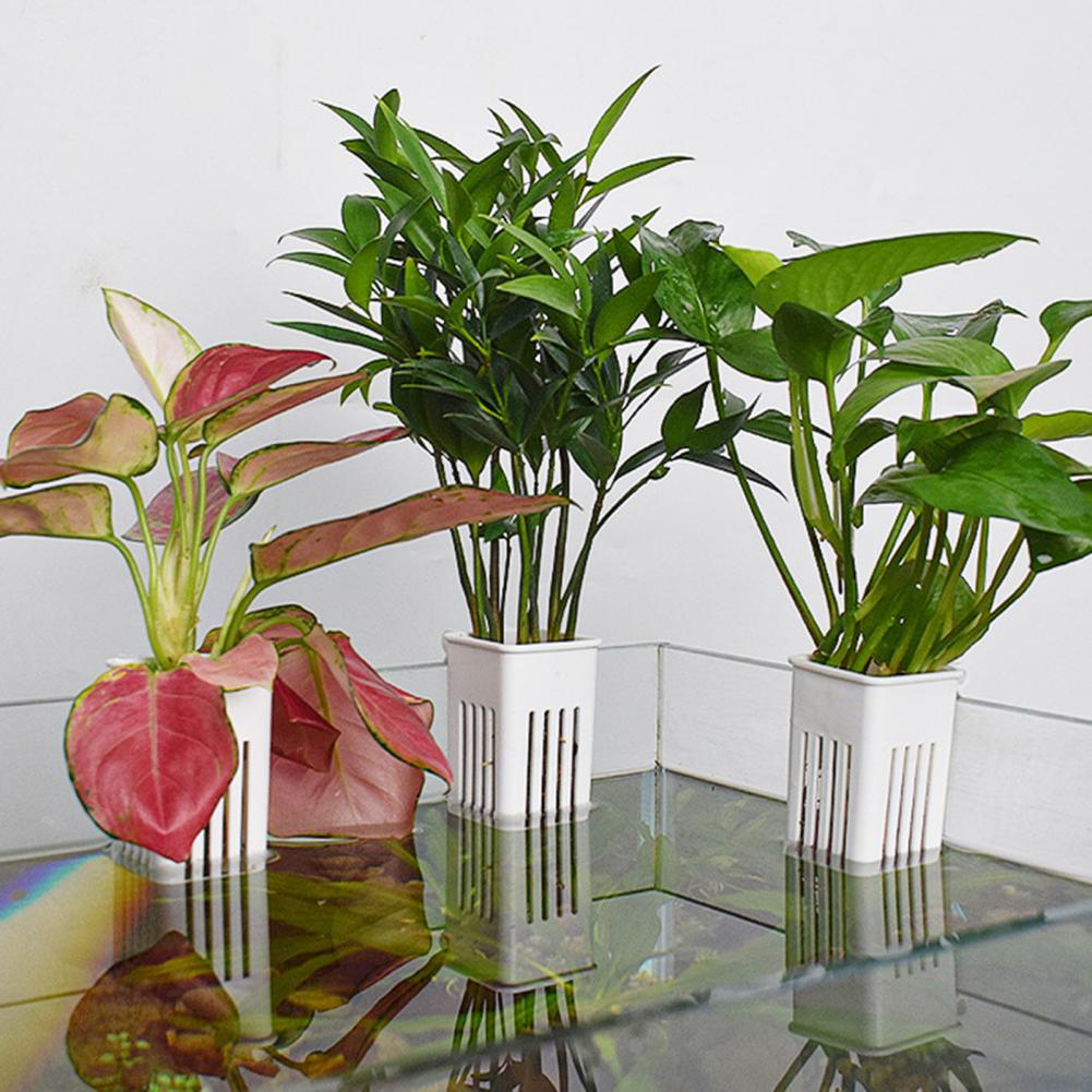 Kwietnik do roślin wodnych, hy – Aquarium Planted Wall recenzja i cena