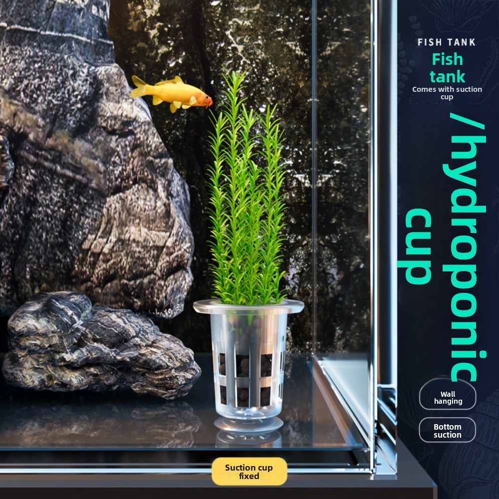 10 szt. Przezroczyste doniczki – Planted Aquarium Materials recenzja i cena