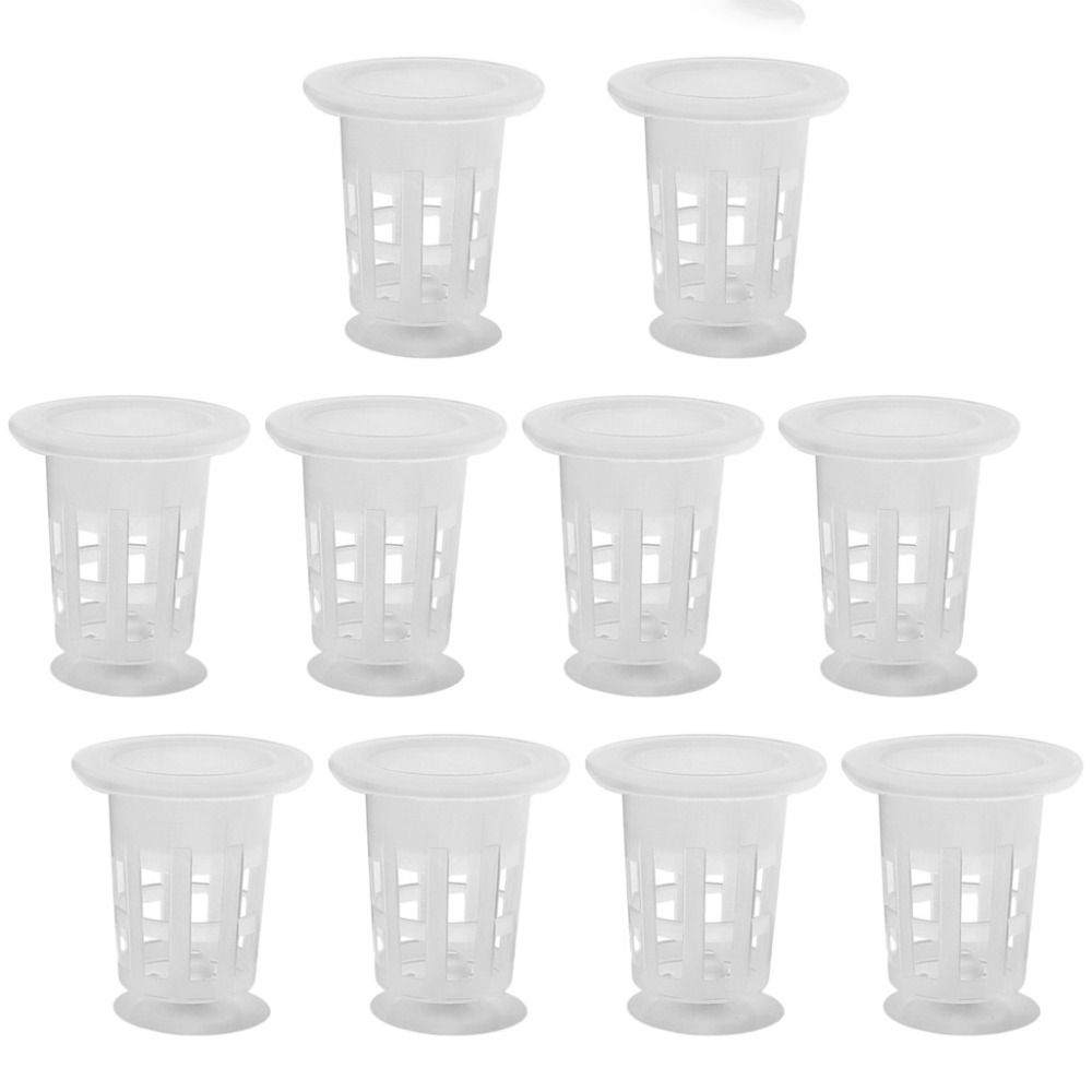 10 szt. Przezroczyste doniczki – Planted Aquarium Materials recenzja i cena