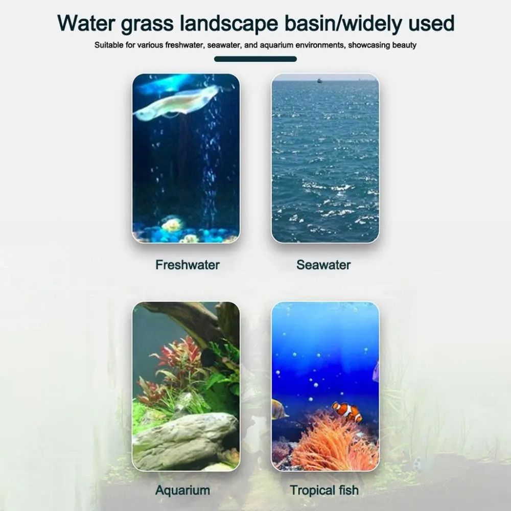 10 szt. Przezroczyste doniczki – Planted Aquarium Materials recenzja i cena