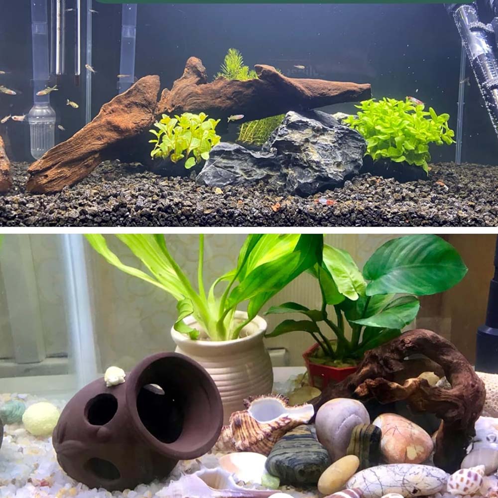 3SZT ﻿ Naturalny zestaw Driftw – Aquarium Planted Wood recenzja i cena
