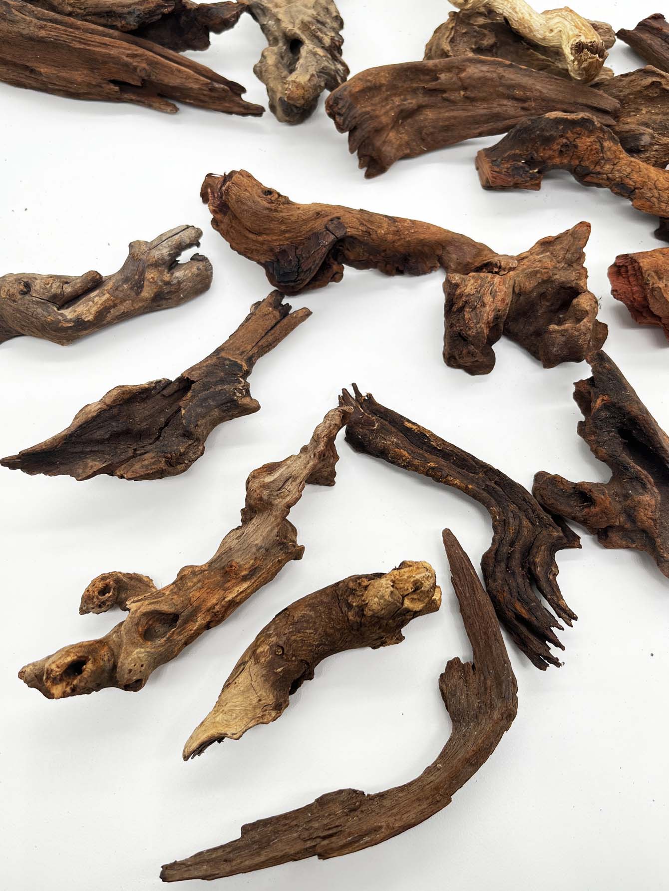 3SZT ﻿ Naturalny zestaw Driftw – Aquarium Planted Wood recenzja i cena