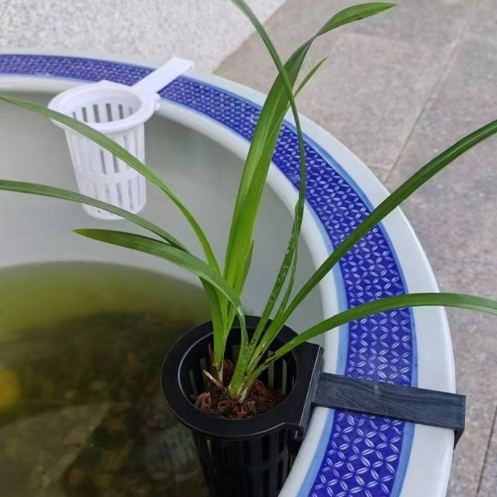 Wiszący koszyk na rośliny do a – Aquarium Planted Wall recenzja i cena