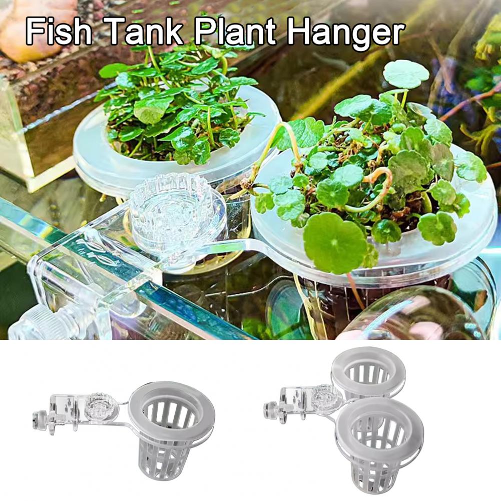 Uchwyt na rośliny akwariowe Na – Aquarium Planted Wall recenzja i cena