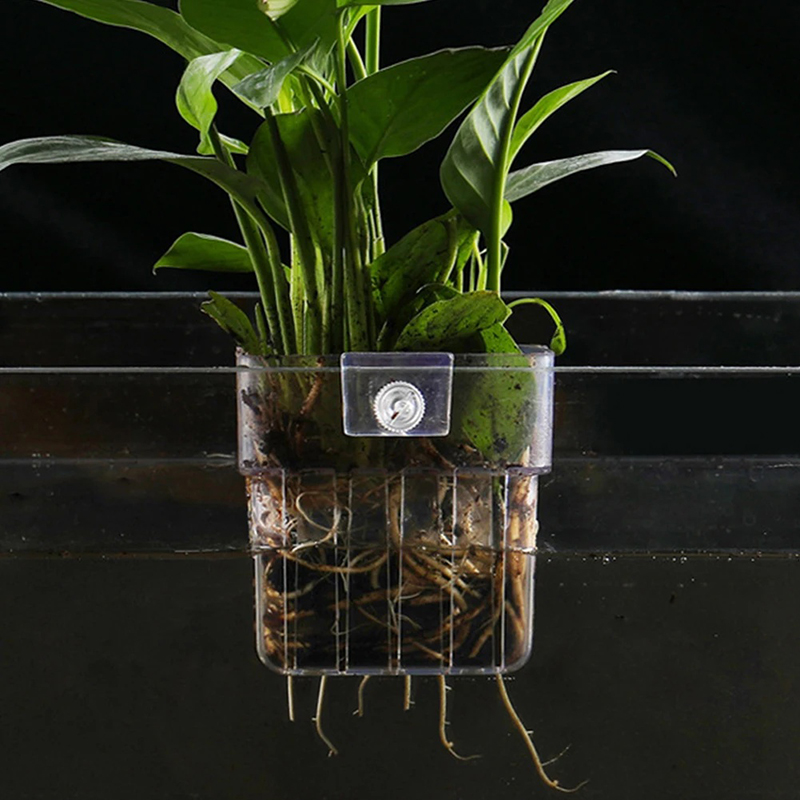Nowy【Wiszący doniczka do akwar – Aquarium Planted Wall recenzja i cena