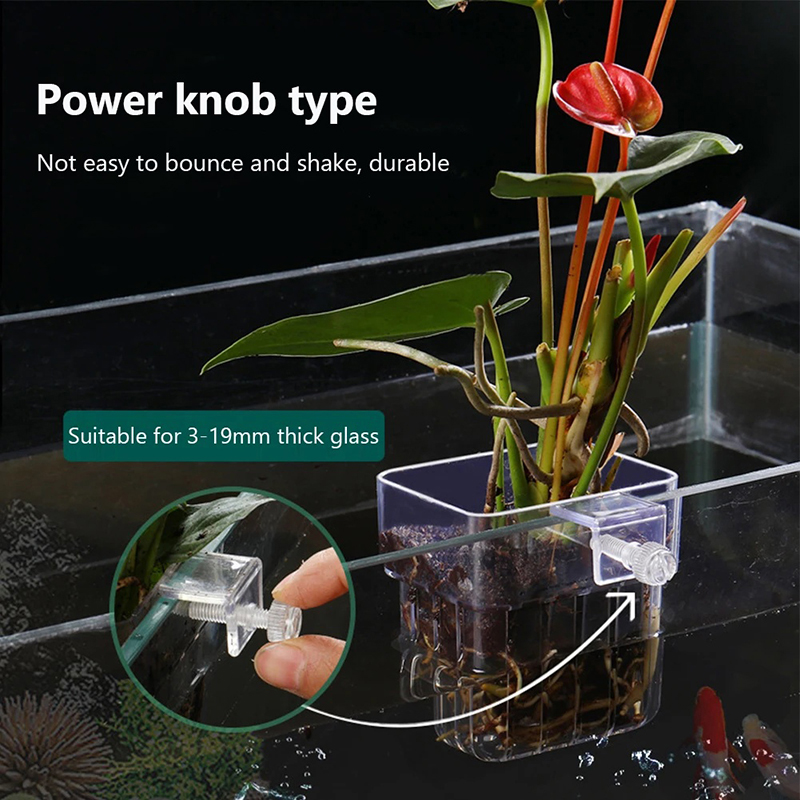 Nowy【Wiszący doniczka do akwar – Aquarium Planted Wall recenzja i cena