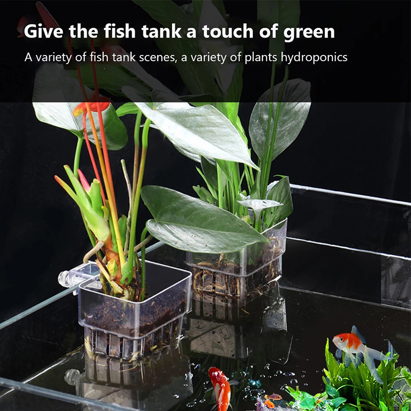Nowy【Wiszący doniczka do akwar – Aquarium Planted Wall recenzja i cena