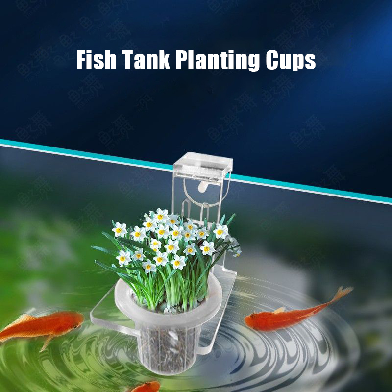 Kubki do sadzenia akwarium Hyd – Aquarium Planted Wall recenzja i cena