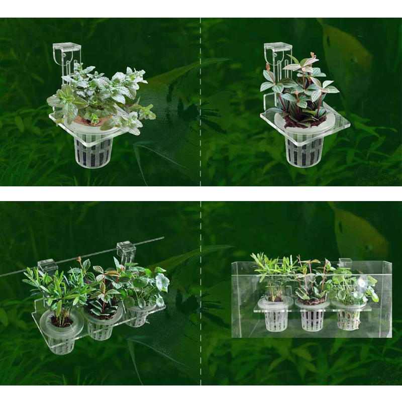 Kubki do sadzenia akwarium Hyd – Aquarium Planted Wall recenzja i cena