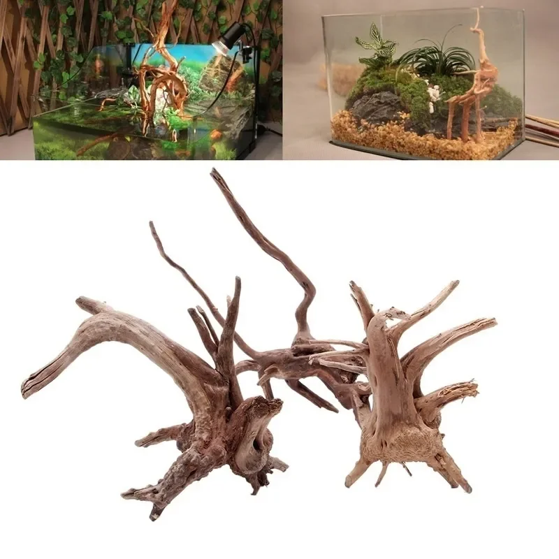 Naturalne drzewo pnia Driftwoo – Aquarium Planted Tree recenzja i cena