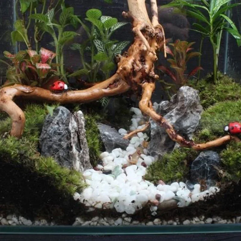 Naturalne drzewo pnia Driftwoo – Aquarium Planted Tree recenzja i cena