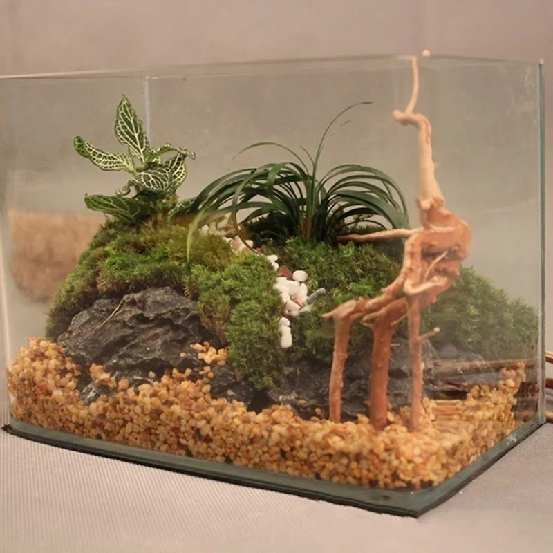 Naturalne drzewo pnia Driftwoo – Aquarium Planted Tree recenzja i cena