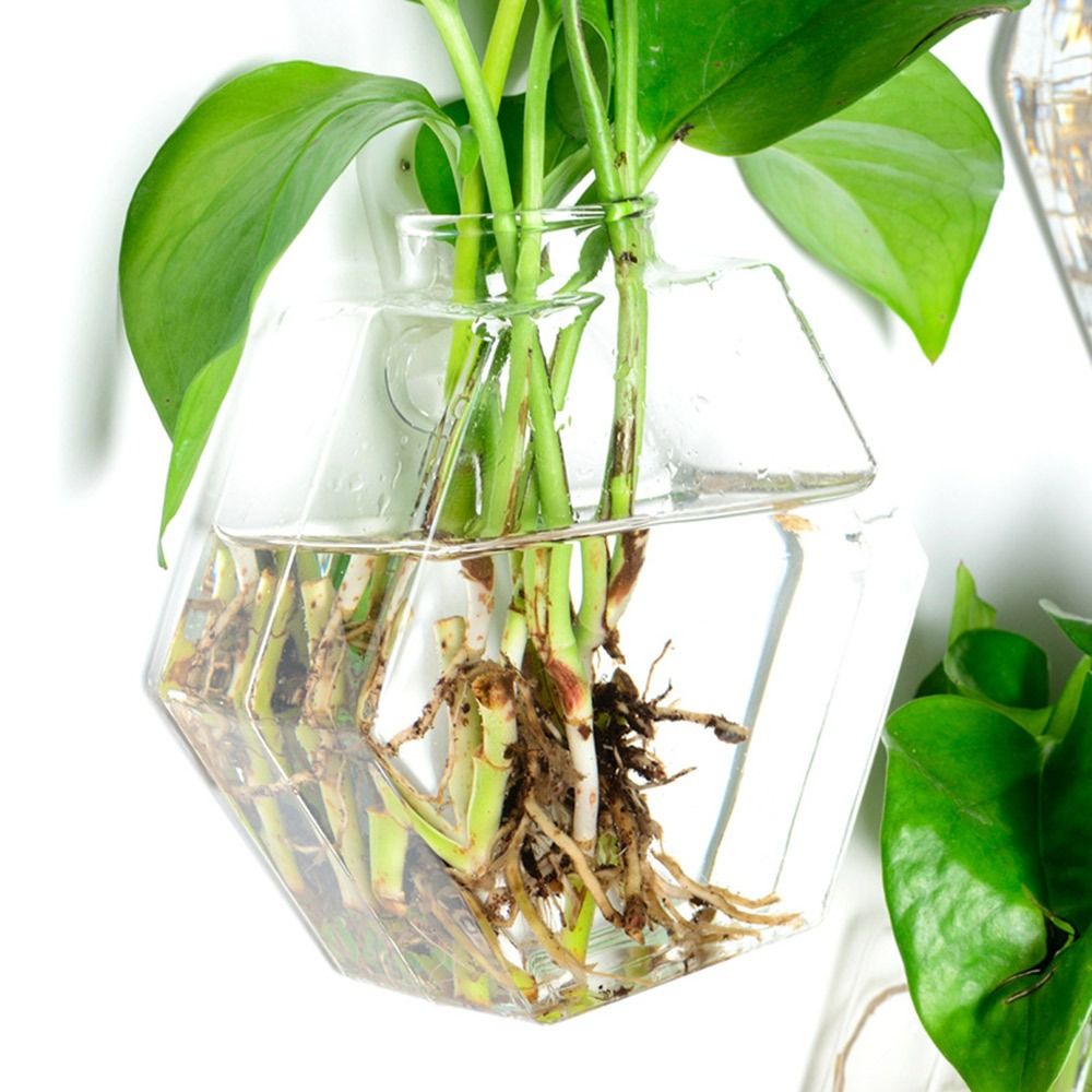 Wazon wiszący w kształcie stoż – Aquarium Planted Wall recenzja i cena