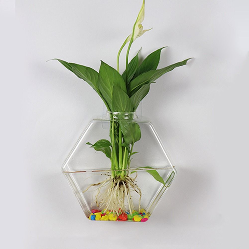 Wazon wiszący w kształcie stoż – Aquarium Planted Wall recenzja i cena