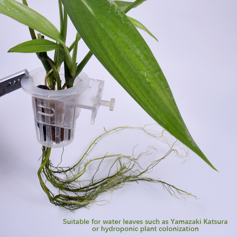 Naścienny kubek do mocowania r – Aquarium Planted Wall recenzja i cena