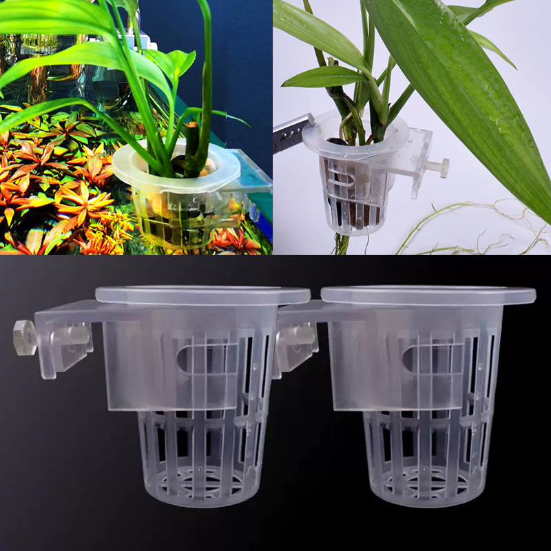 Naścienny kubek do mocowania r – Aquarium Planted Wall recenzja i cena