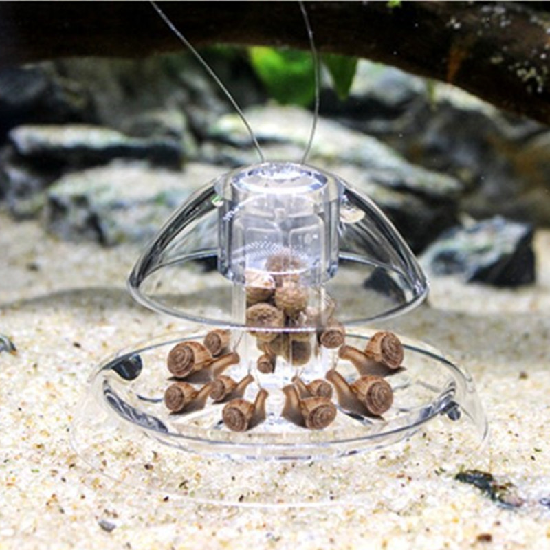 1PCS Fish Tank Aquarium Cleane – Planted Aquarium Materials recenzja i cena