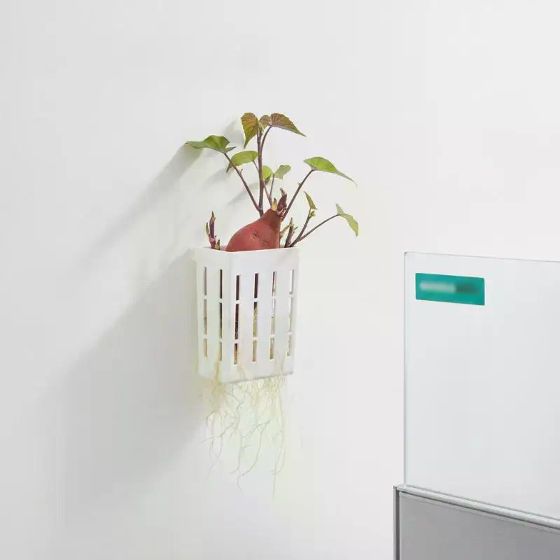 1 szt. Koszyk wspierający do h – Aquarium Planted Fish recenzja i cena