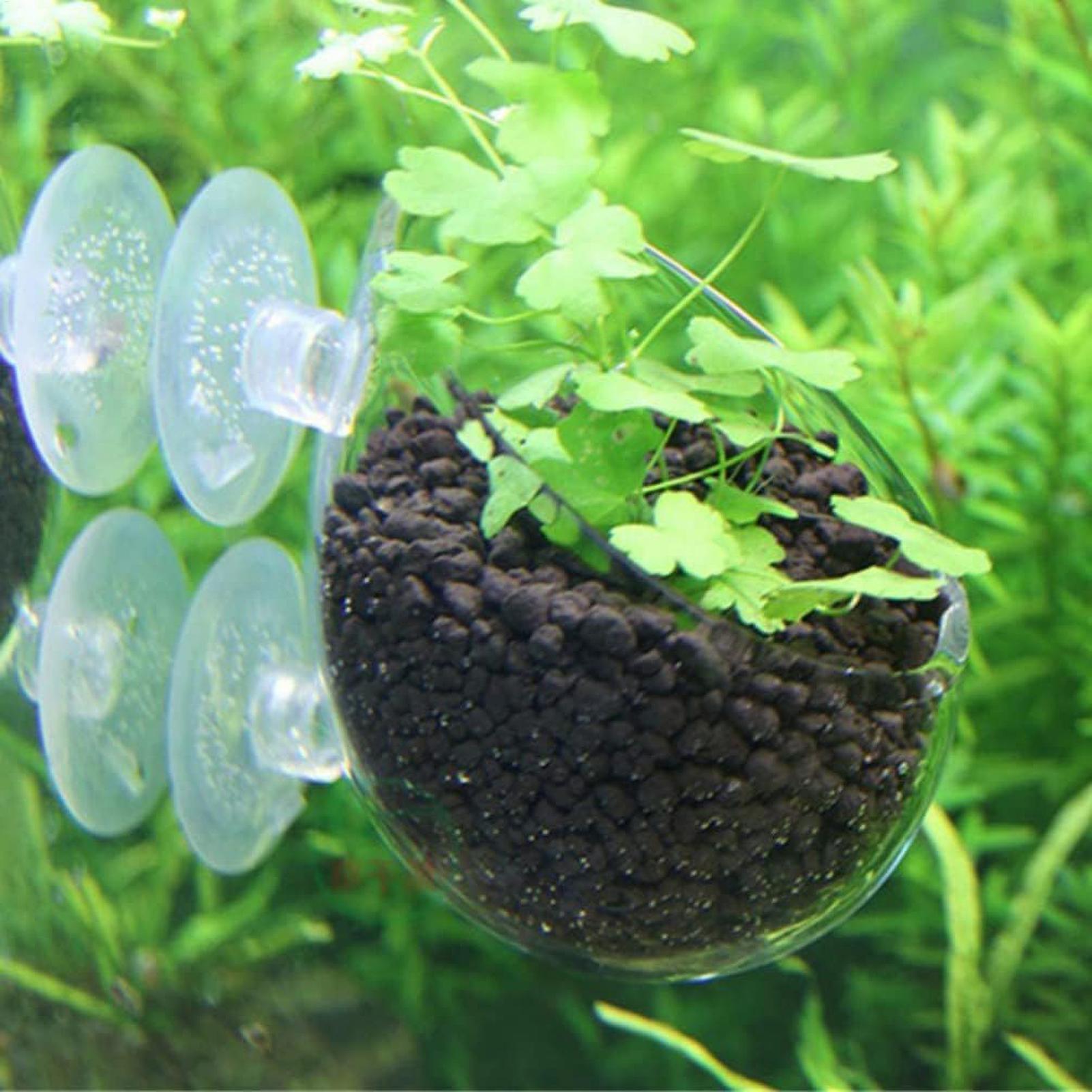 Szklany uchwyt na rośliny akwa – Planted Aquarium Materials recenzja i cena