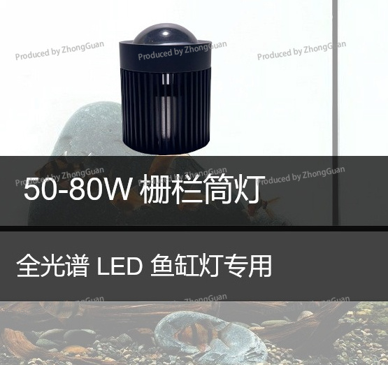 Oświetlenie LED typu downlight – Aquarium Planted Wood recenzja i cena
