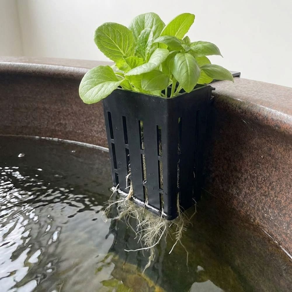 Wiszący koszyk na rośliny do a – Aquarium Planted Wall recenzja i cena
