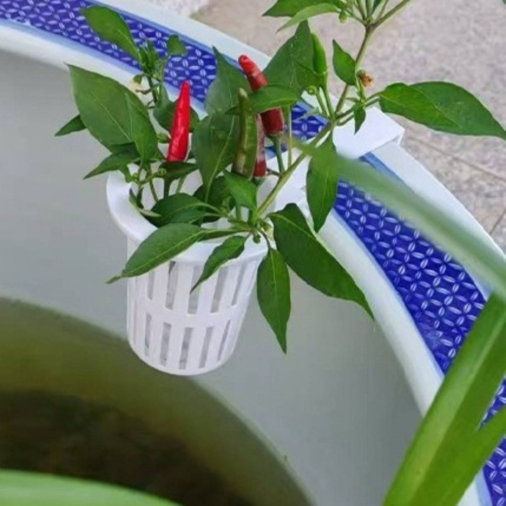 Wiszący koszyk na rośliny do a – Aquarium Planted Wall recenzja i cena