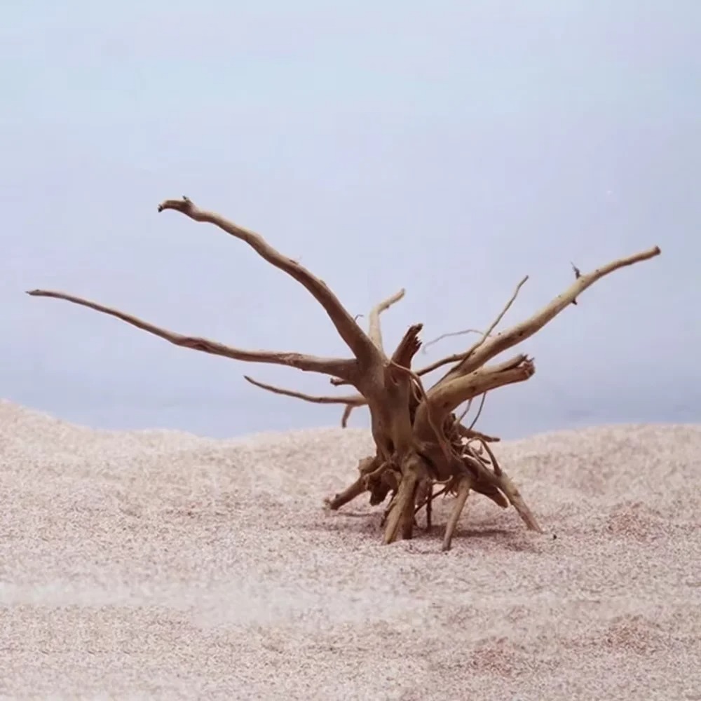 Dekoracja do akwarium z natura – Aquarium Planted Wood recenzja i cena