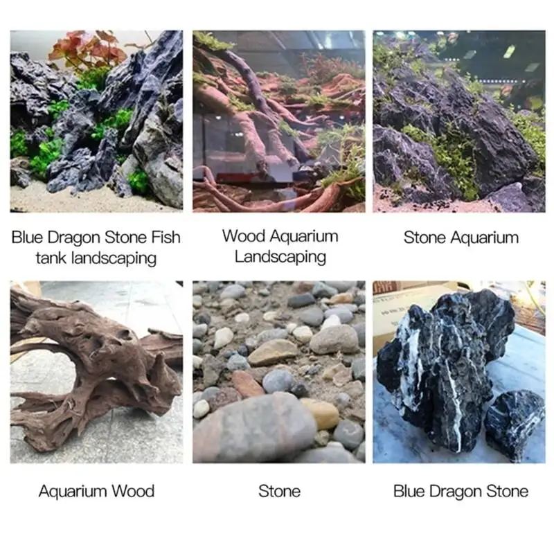 2 SZT. 5 SZT. /3/ Przezroczyst – Aquarium Planted Fish recenzja i cena