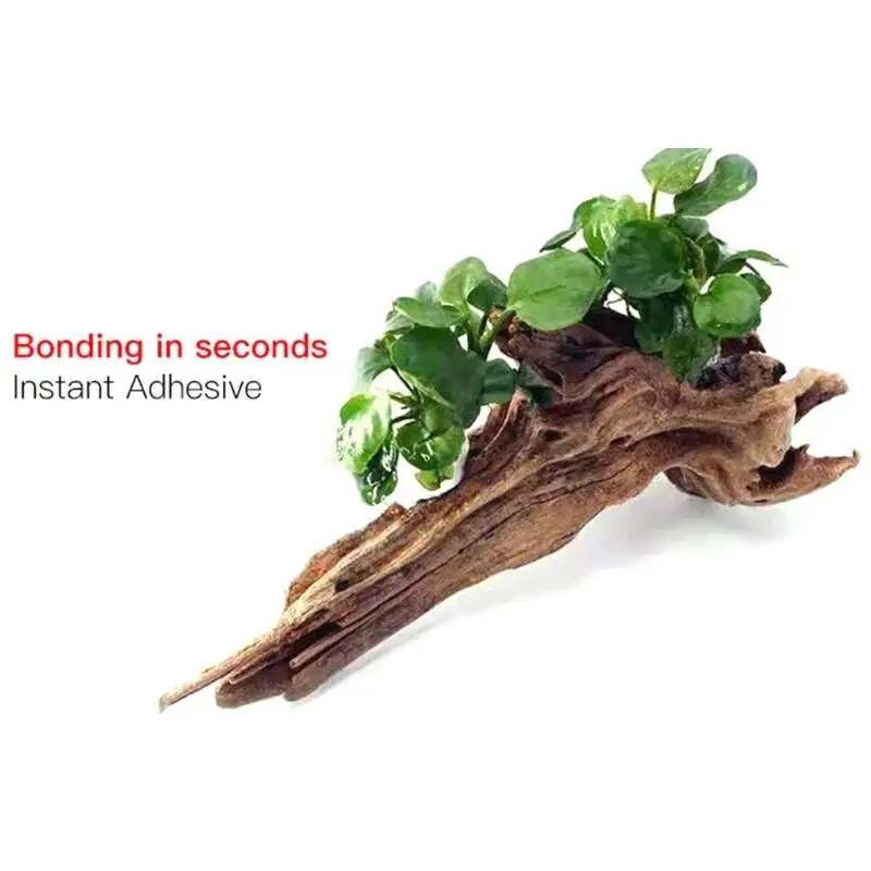 2 SZT. 5 SZT. /3/ Przezroczyst – Aquarium Planted Fish recenzja i cena