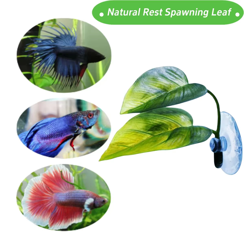 Akcesoria do akwariów, dekorac – Aquarium Planted Fish recenzja i cena