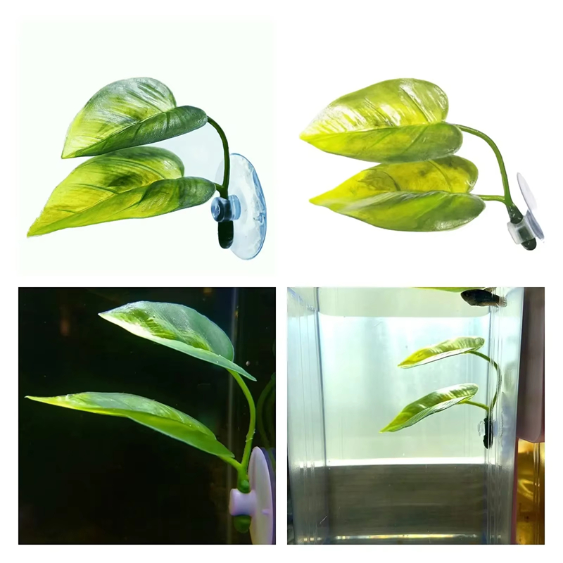 Akcesoria do akwariów, dekorac – Aquarium Planted Fish recenzja i cena