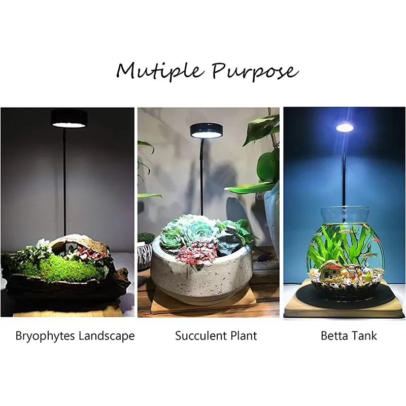 Pełnospektralne światło LED z  – Planted Aquarium Hours recenzja i cena