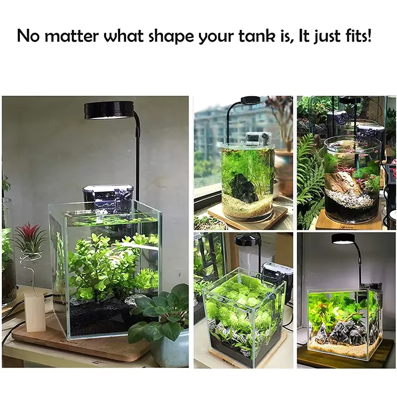 Pełnospektralne światło LED z  – Planted Aquarium Hours recenzja i cena