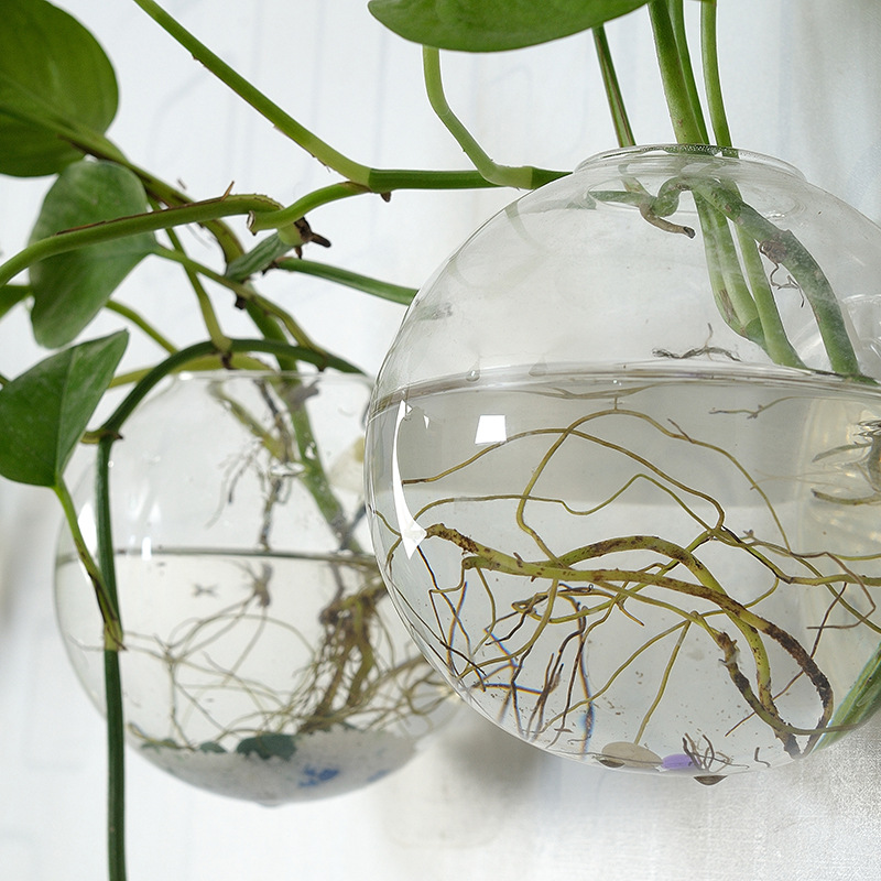 Akrylowa akwarium wiszące na ś – Aquarium Planted Wall recenzja i cena