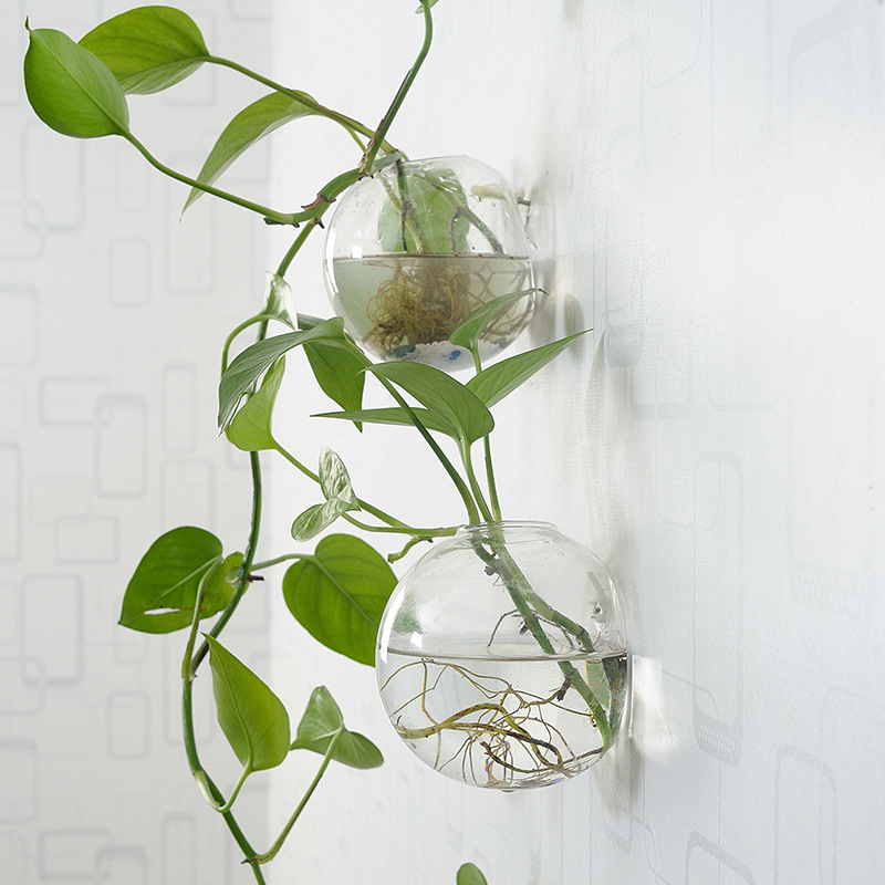 Akrylowa akwarium wiszące na ś – Aquarium Planted Wall recenzja i cena