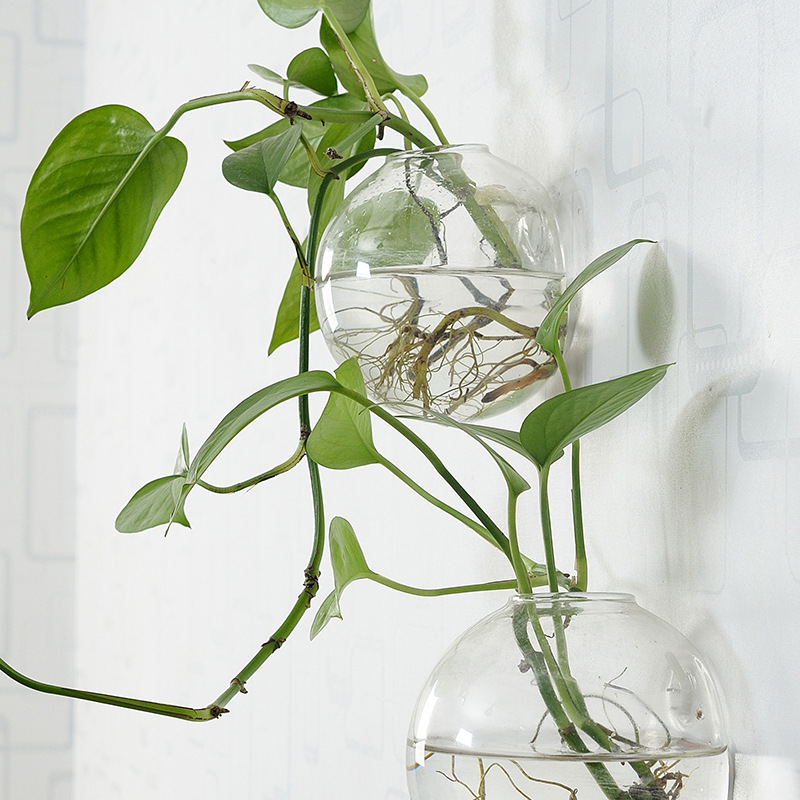 Akrylowa akwarium wiszące na ś – Aquarium Planted Wall recenzja i cena