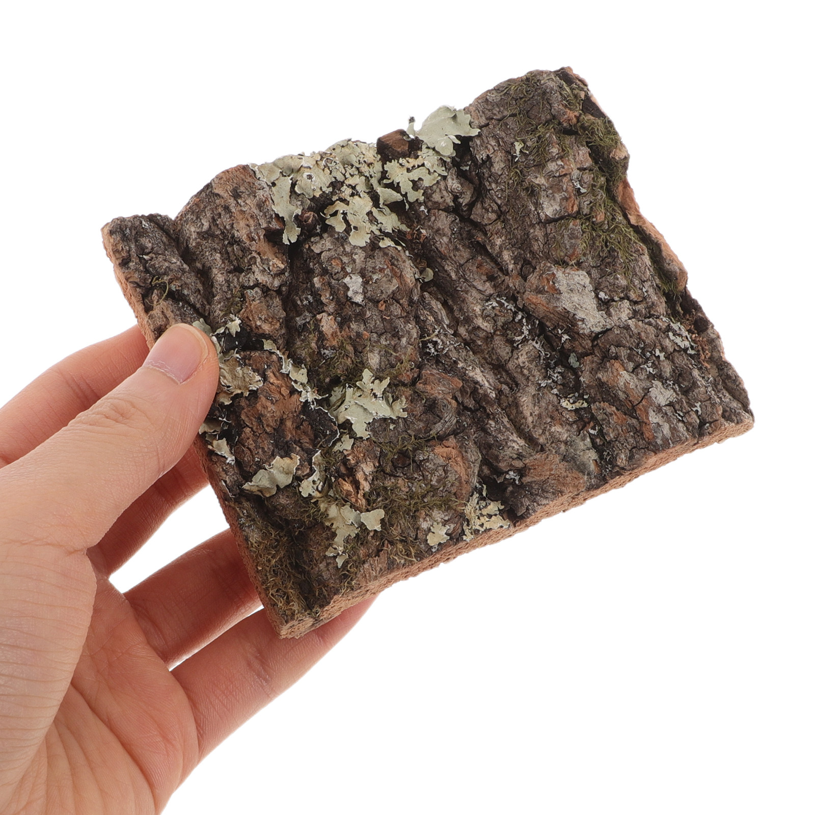 Kora korkowa, kora drzewna do  – Aquarium Planted Wall recenzja i cena