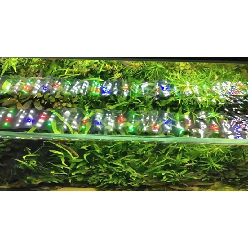 RGB Pełnospektralne Srebrne Oś – Planted Aquarium Hours recenzja i cena