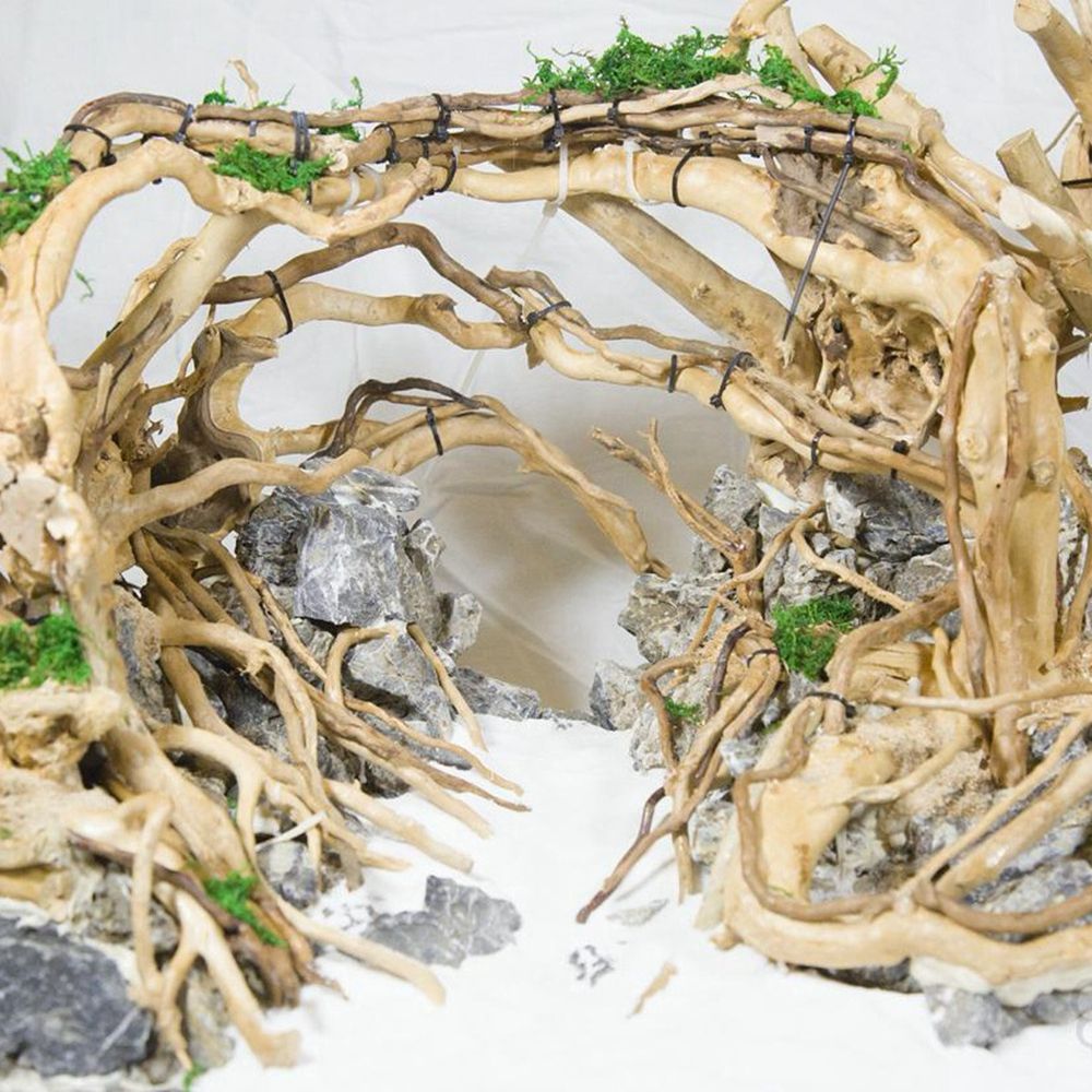 Drewno N1N Dekoracja do akwari – Aquarium Planted Wood recenzja i cena