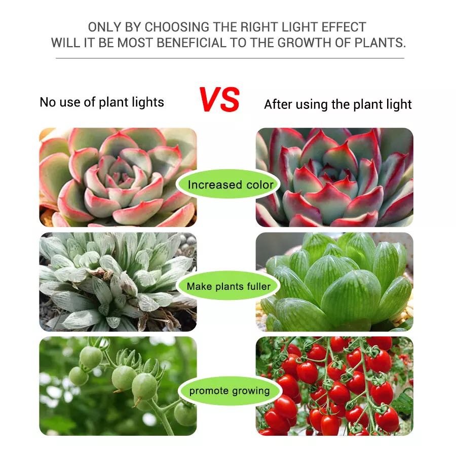 Taśmy LED 5V Grow Led Flower A – Planted Aquarium Hours recenzja i cena